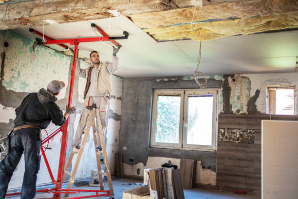 Best Insulation Contractors for Homes  in Bainbridge, OH