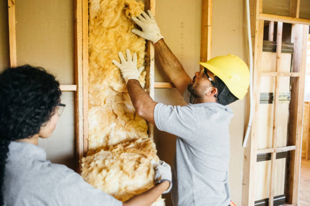 Best Local Insulation Services  in Bainbridge, OH