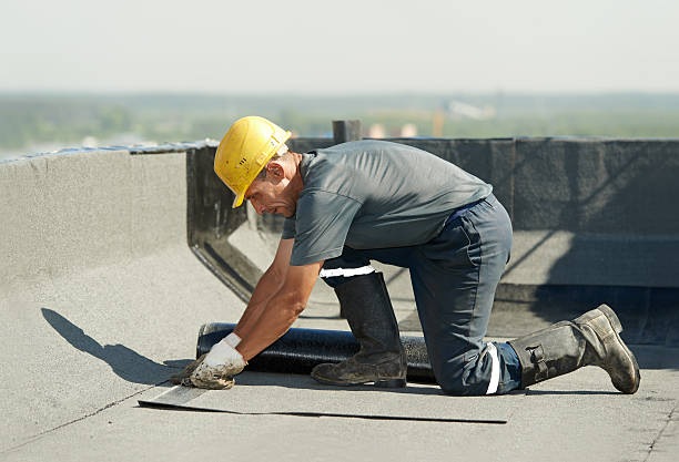 Best Cellulose Insulation  in Bainbridge, OH
