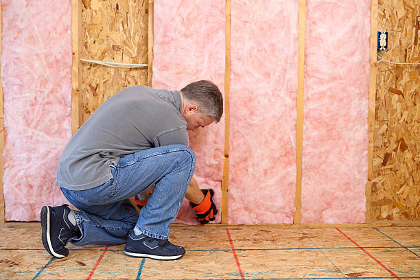 Best Insulation Contractor Near Me  in Bainbridge, OH